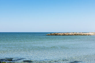 Αφάνταστη-δυσοσμία-και-σμήνη-από-μύγες-σε-ελληνικό-νησί-–-Ανησυχία-των-κατοίκων-μετά-από-αυτό-που-ανακάλυψαν