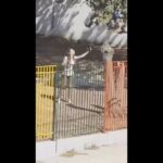 Άνω-Λιόσια-–-Νηπιαγωγείο:-“Θα-φωνάζω-όσο-θέλω”-–-Στο-νοσοκομείο-η-διευθύντρια-–-Ψάχνουν-τους-γονείς